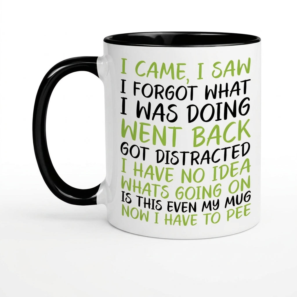 “I Came, I Saw, I Forgot What I Was Doing” Funny Mug