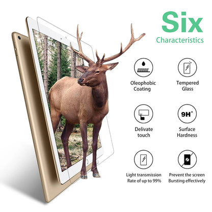 iPad Tempered Glass Screen Protector (for iPad)