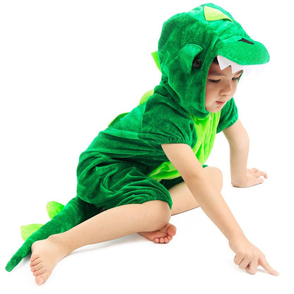 Kids Dinosaur Costume