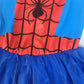 Kids Costume of Spiderman Girl