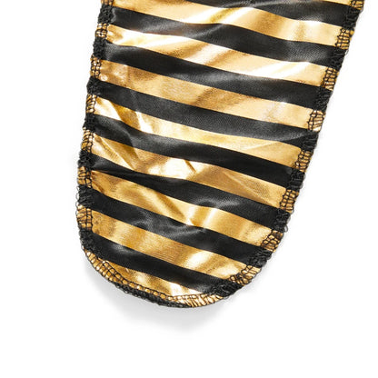 Adult Men's Costume of Egyptian Pharaoh