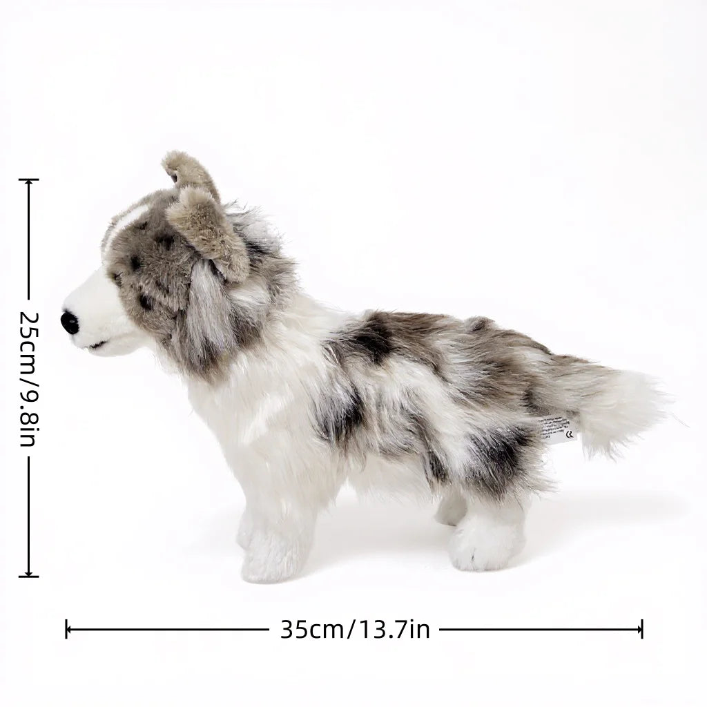Plush Toy 35cm of Border Collie