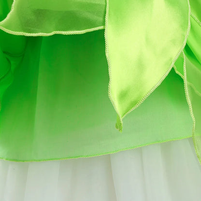 Kids Costume of Green Fairy Princess like Tinkerbell