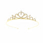 Adult Costume Accessory Set - Princess Fiona from Shrek