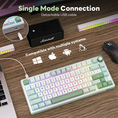 RK Royal Kludge R75 Mechanical Gaming Keyboard