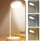 Portable LED Tri-Colour Desk Lamp