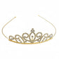 Adult Costume Accessory Set - Princess Fiona from Shrek