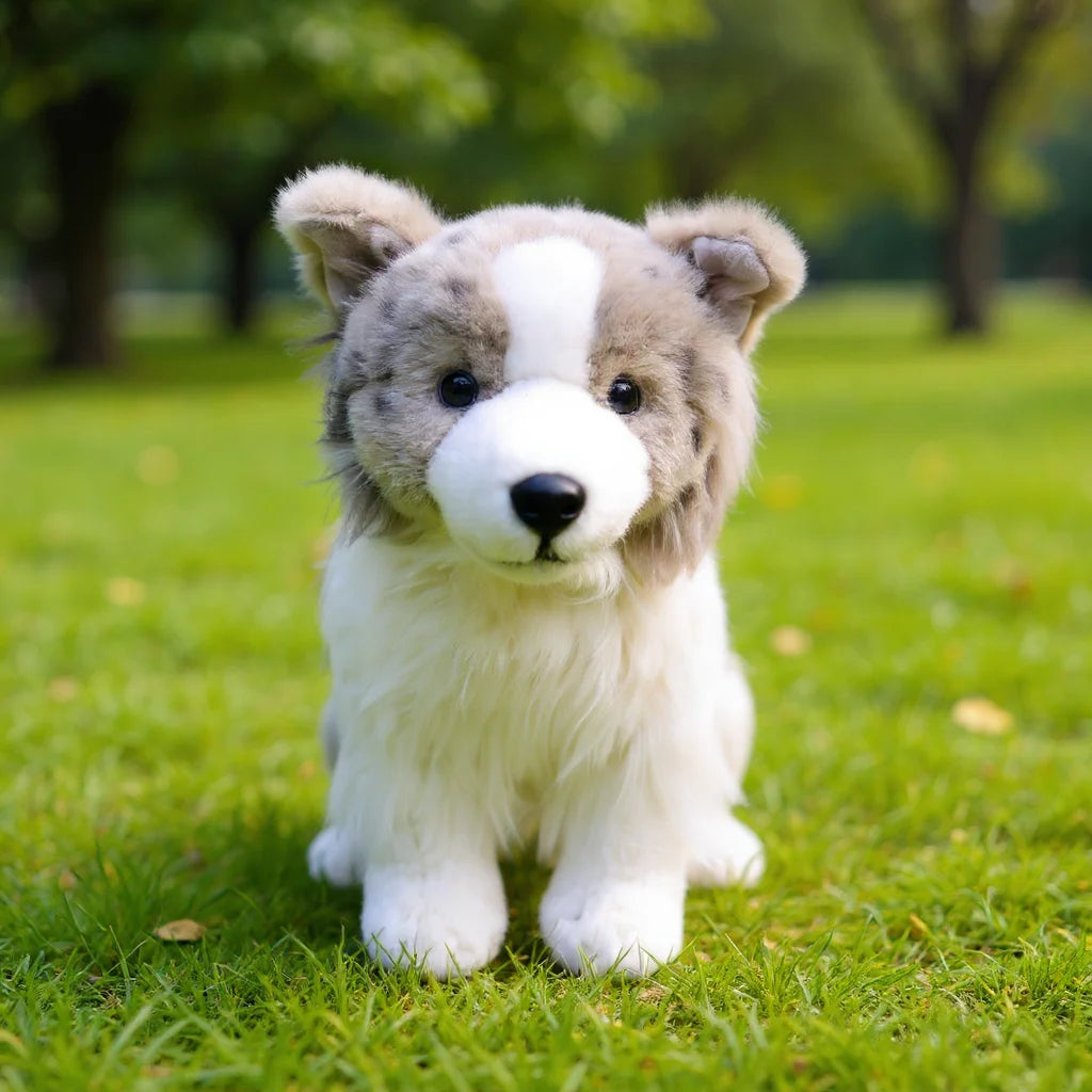 Plush Toy 35cm of Border Collie